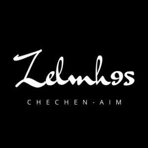 zelmh95 avatar