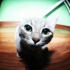 BONDDDDDDD avatar