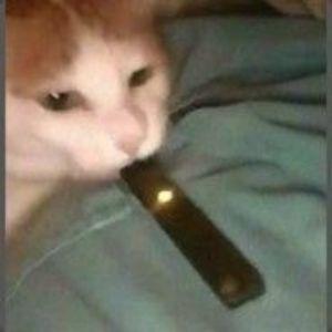 _Tibor_ avatar