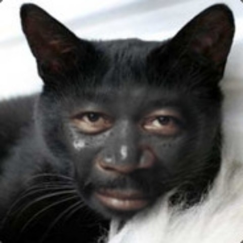 cusZo