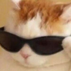 SuddenNow avatar