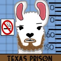 GreedyAlpaca avatar