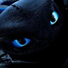 Jxrrie-_- avatar