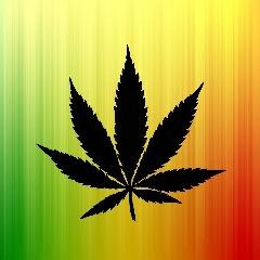 FRAER_Cyka avatar