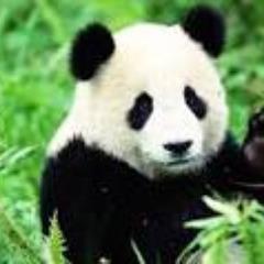 Cubix55 avatar