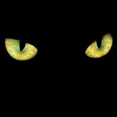 Tobiastobi avatar