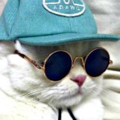 reakzy
