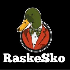 RaskeSko avatar
