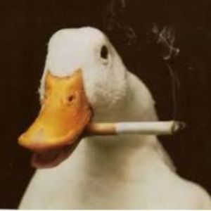 Faceit Avatar