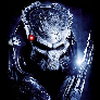 Dizu avatar