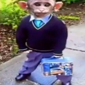 Gum9x avatar