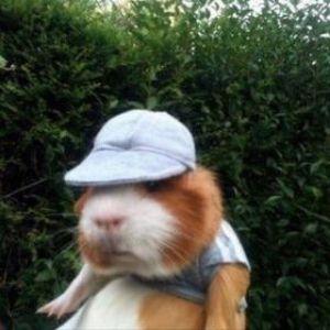 Finnokdaniel avatar