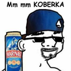 SINIOR_COBRA