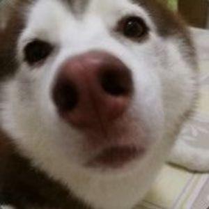 Khaast avatar