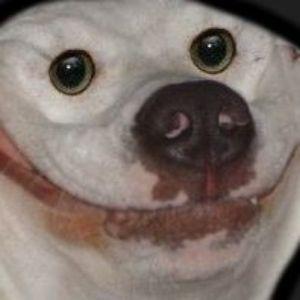 BigYo avatar