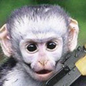 MaKaLaAvAvA avatar
