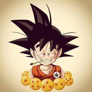 tKoBrxdy avatar