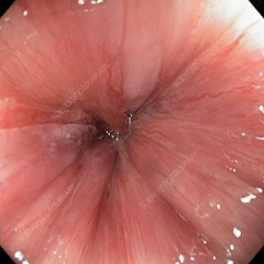 MDJEK1C