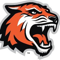 Player justa_tiger avatar