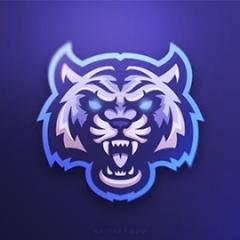 Player Boroeq avatar