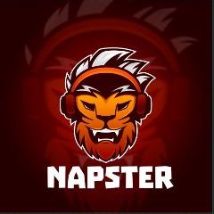 NaPsTeRrRrR avatar