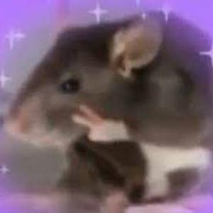 Player RataBlues avatar