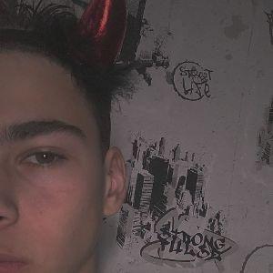 Haski3331 avatar