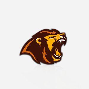 Player raiddcs avatar