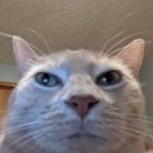 Dan_3 avatar