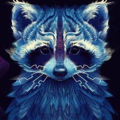 SL1doput avatar