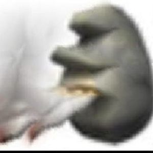 Kanal_Horika