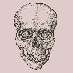 TR_MELIN avatar