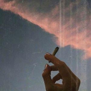 plmthegod