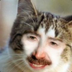 OsoGalactico