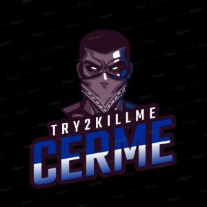 cerme13