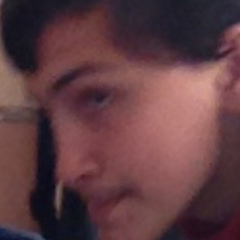 spals avatar