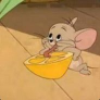 rattus-