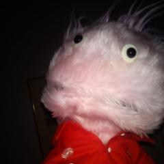 bejan8 avatar