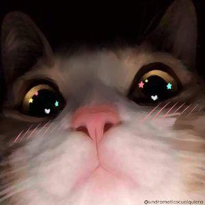 Player jodzila avatar