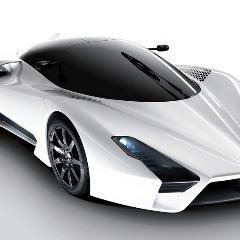 SSC_TuatarA avatar