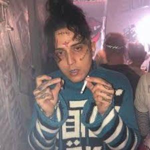 Player mesheer101 avatar