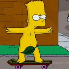 baroNL