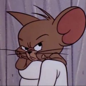z_Rem1x