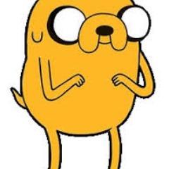 Hamtaroo avatar