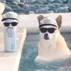 treez1k avatar