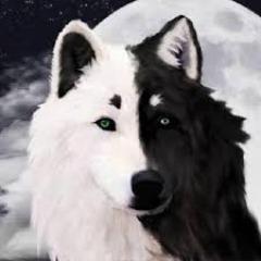 falconSSSSS avatar
