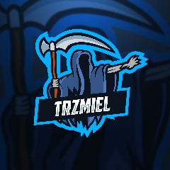 Trzmiel_PL FACEIT avatar