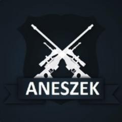 Aneszek avatar