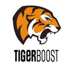 Player TigerBoost avatar