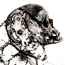 Faceit profile picture for @ninte
